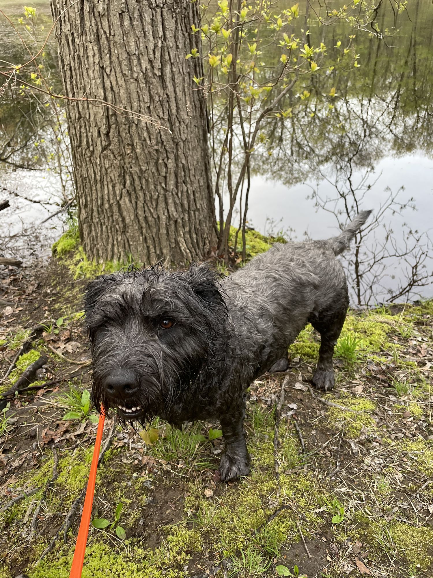 Glen by the water